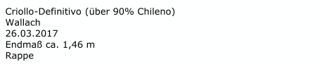 Criollo - Definitivo  (über 90% Chileno)  Wallach 26.03.2017 Endmaß ca. 1,46 m   Rappe