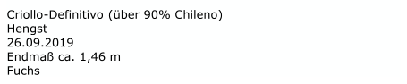 Criollo - Definitivo  (über 90% Chileno)  Hengst 26.09.2019 Endmaß ca. 1,46 m   Fuchs