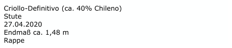Criollo - Definitivo  (ca. 40% Chileno)  Stute   27.04.2020 Endmaß ca. 1,48 m   Rappe