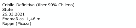 Criollo - Definitivo  (über 90% Chileno)  Stute 26.03.2021 Endmaß ca. 1,46 m   Rappe (Picaza)