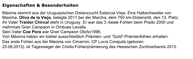 Eigenschaften & Besonderheiten   Máxima stammt aus der Uruguayischen Distanzzucht Estancia Vieja. Eine Halbschwester von    Maxima,  Oliva de la Vieja , belegte 2011 bei der Marcha, dem 750 km-Distanzritt, den 13. Platz.   Ihr Vater  Traidor Chircal   steht in Uruguay. Er war das 3. - beste Fohlen beim Prado 2000 und  mehrmals Gran Camp eon in Ombues Lavalle.    Sein Vater  Coe Pora   war Gran Campeon Otoño1996.    Von Máxima haben wir bisher ausschließlich Prämien -   und "Gold" - Prämienfohlen erhalten.    Das erste Fohlen aus der Máxima von Cimarron, CP Lucía Corajuda (geboren  25.08.2013), ist Tagessieger der Criollo-Fohlenprämierung des Hessischen Zuchtverbands 2013.