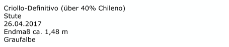 Criollo - Definitivo  (über 40% Chileno)  Stute   26.04.2017 Endmaß ca. 1,48 m   Graufalbe